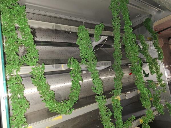 1#9184 Attrezzatura per Supermercato in vendita - foto 17