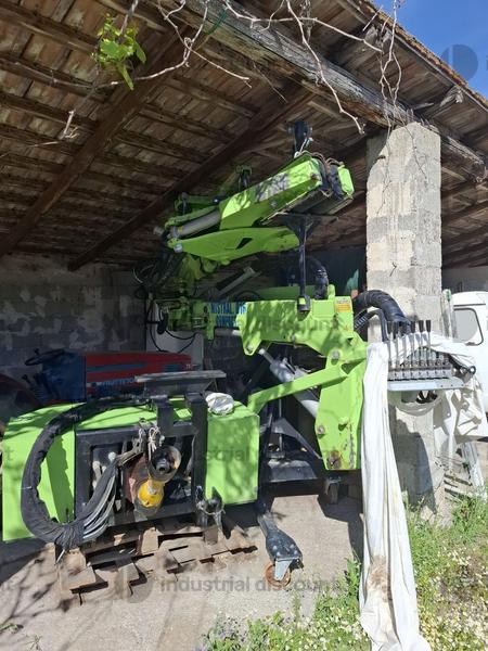 1#9194 Scuotitore da tronco o branca con gruetta marca D'Amico in vendita - foto 1
