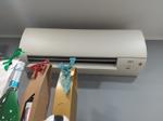 Immagine 19 - Cessione d'azienda di Bar Pasticceria e Gelateria - Lotto 1 (Asta 9195)