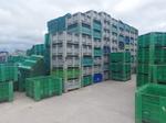 Immagine 5 - Bins e cassette in plastica - Lotto 13 (Asta 9213)