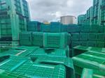 Immagine 9 - Bins e cassette in plastica - Lotto 13 (Asta 9213)