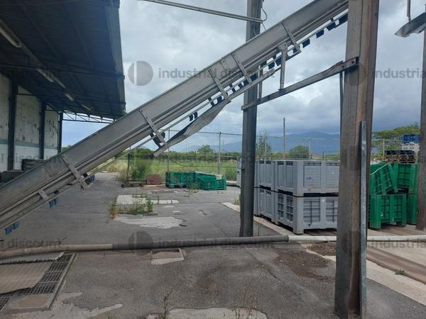 7#9213 Macchine per lavaggio e smistamento prodotti agricoli in vendita - foto 44