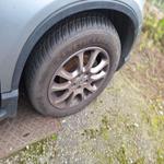 Immagine 20 - Autovettura Honda CR-V - Lotto 5 (Asta 9214)