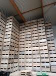 Immagine 2 - Casse di legno  - Lotto 1 (Asta 9254)