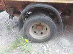 Immagine 6 - Autocarro Iveco 49 E 12 - Lotto 3 (Asta 9282)