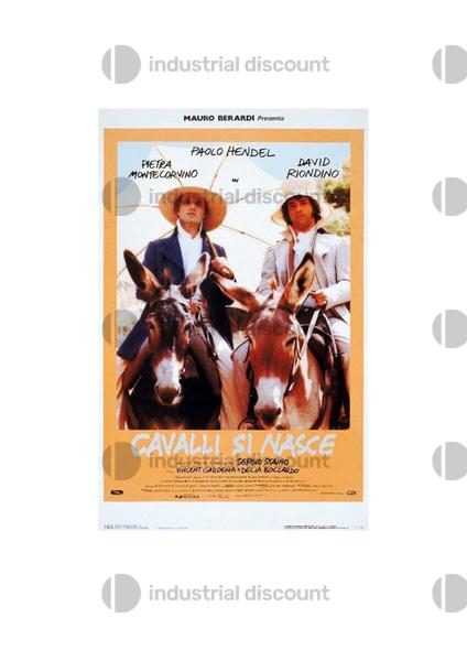 5#9293 Diritti cinematografici "Cavalli si nasce" in vendita - foto 1