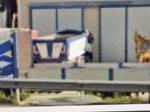 Immagine 2 - Autocarro Scania - Lotto 27 (Asta 9304)