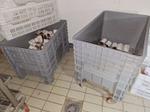 Immagine 5 - Attrezzatura per salumificio - Lotto 1 (Asta 9323)