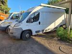 Immagine 2 - Autocarro Fiat Ducato - Lotto 3 (Asta 9329)