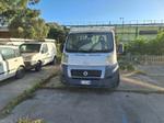 Immagine 2 - Autocarro Ducato Maxxi - Lotto 6 (Asta 9329)
