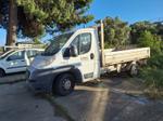 Immagine 3 - Autocarro Ducato Maxxi - Lotto 6 (Asta 9329)
