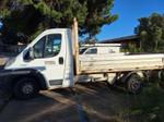 Immagine 4 - Autocarro Ducato Maxxi - Lotto 6 (Asta 9329)