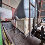 Immagine 5 - Rimorchio agricolo Rem RM50S.1N - Lotto 4 (Asta 9344)
