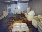 Immagine 2 - Pallets in plastica bianchi  e pallets in plastica nera - Lotto 23 (Asta 9389)