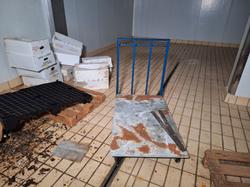 Pallets in plastica bianchi  e pallets in plastica nera - Lotto 23 (Asta 9389)