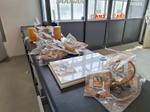 Immagine 15 - Pezzi di ricambio idraulica meccanica ed elettronica - Lotto 1 (Asta 9396)