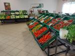 Immagine 65 - Cessione del compendio aziendale dedito alle attività nel settore dei prodotti ortofrutticoli - Lotto 1 (Asta 9399)