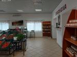 Immagine 66 - Cessione del compendio aziendale dedito alle attività nel settore dei prodotti ortofrutticoli - Lotto 1 (Asta 9399)