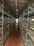 Immagine 1 - Scaffalatura metallica Metalsistem leggera Super 1-2-3 - Lotto 1 (Asta 9407)