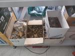 Immagine 17 - Stock di materiale idraulico - Lotto 1 (Asta 9408)