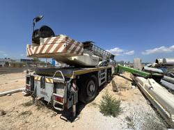 Autogru Terex PPM - Lotto 5 (Asta 9429)