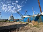 Image 6 - Motor vessel S.Luca Primo motor dredger BA817 motorboats and equipment - Lot 1 (Auction 9443)