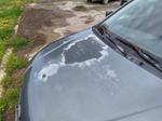 Immagine 8 - Autovettura Kia Rio - Lotto 5 (Asta 9452)
