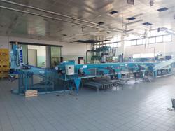 Impianto lavorazione mele S.A.M.M.O - Lotto 1 (Asta 9462)