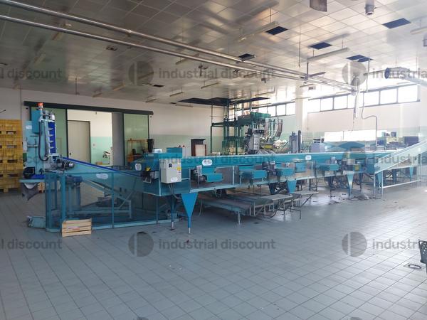 Lavorazione frutta e verdura in vendita