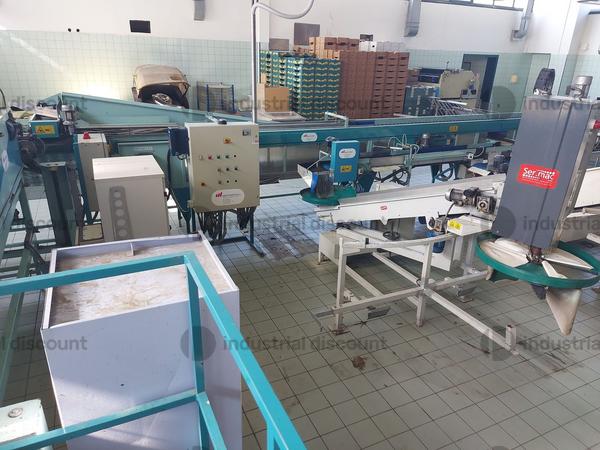 1#9462 Impianto lavorazione mele S.A.M.M.O in vendita - foto 11