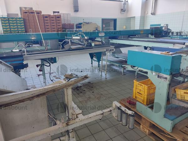 1#9462 Impianto lavorazione mele S.A.M.M.O in vendita - foto 14
