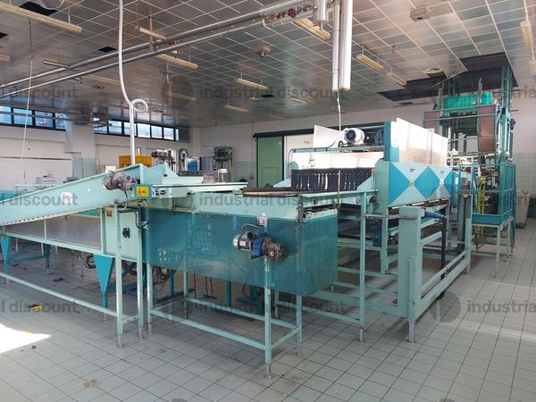 1#9462 Impianto lavorazione mele S.A.M.M.O in vendita - foto 21