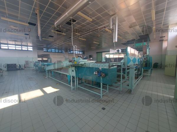 1#9462 Impianto lavorazione mele S.A.M.M.O in vendita - foto 22