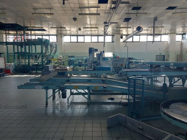 1#9462 Impianto lavorazione mele S.A.M.M.O in vendita - foto 28