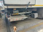 Immagine 7 - Semirimorchio frigo Cardi 793 136F - Lotto 7 (Asta 9463)