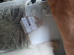 Immagine 5 -  cuscini federe Coperte  Trapunte fodere  Guanciali - Lotto 14 (Asta 9482)