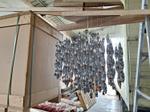 Immagine 6 -  Buffet e lampadari - Lotto 23 (Asta 9482)