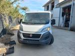 Immagine 1 - Autocarro fiat ducato - Lotto 40 (Asta 9482)
