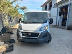 Autocarro fiat ducato - Lotto 40 (Asta 9482)