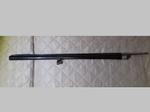 Image 1 - Canna Benelli - Lot 104 (Auction 9484)