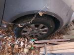 Immagine 11 - Volkswagen Golf Plus - Lotto 1 (Asta 9511)