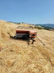 Immagine 4 - Pressa Gallignani 5690 Gold - Lotto 1 (Asta 9532)
