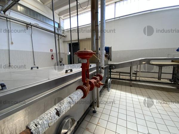 13#9550 Linea completa scottatura e raffredamento ortaggi in vendita - foto 10