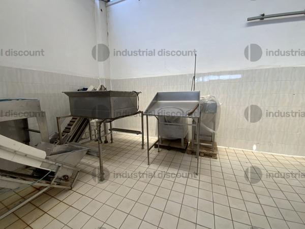 13#9550 Linea completa scottatura e raffredamento ortaggi in vendita - foto 3