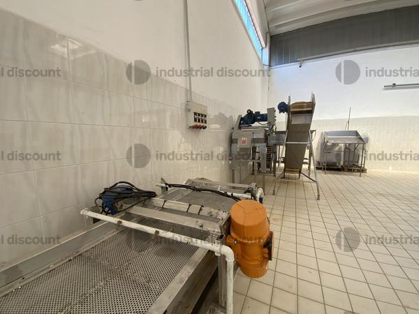 13#9550 Linea completa scottatura e raffredamento ortaggi in vendita - foto 5
