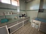 Immagine 8 - Arredamento ed attrezzature da laboratorio - Lotto 27 (Asta 9550)
