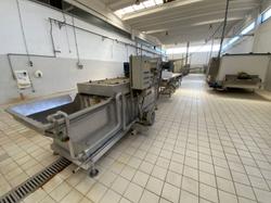 Linea di lavaggio ortaggi - Lotto 29 (Asta 9550)