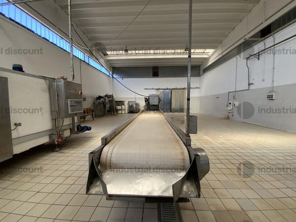 29#9550 Linea di lavaggio ortaggi in vendita - foto 3