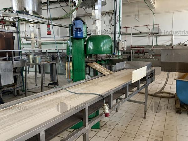 31#9550 Aggraffatrice con nastro di cernita a tappeto in vendita - foto 8