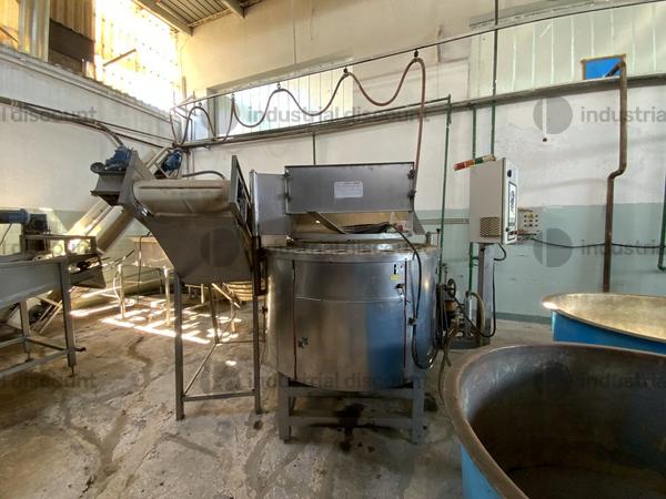 54#9550 Macchinari per la lavorazione e produzione di ortaggi in vendita - foto 26
